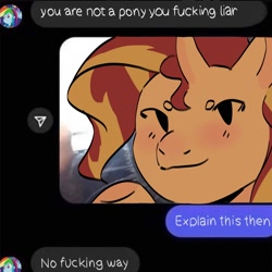 Size: 1280x1280 | Tagged: safe, artist:cardigansandcats, imported from derpibooru, rainbow dash, sunset shimmer, pony, unicorn, equestria girls, blushing, close-up, female, meme, ponified animal photo, ponified meme, smiling, solo, text, texting, vulgar
