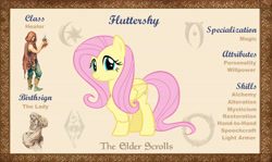 Size: 10100x6000 | Tagged: safe, artist:ponygamer2020, imported from derpibooru, fluttershy, pegasus, pony, bio, cute, female, looking at you, mare, morrowind, oblivion, reference sheet, shyabetes, skyrim, smiling, smiling at you, solo, the elder scrolls, the elder scrolls: equestria, vector