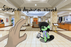 Size: 4000x2667 | Tagged: safe, artist:nonnyanon, oc, oc only, oc:filly anon, earth pony, human, pony, 4chan cup scarf, clothes, female, filly, hammer, hand, hotel, mjölnir, offscreen character, pov, scarf, sitting, text, trotcon, trotcon 2022, war hammer