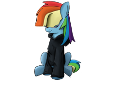 Size: 1866x1351 | Tagged: safe, artist:nonnyanon, rainbow dash, clothes, dumb, hoodie, sitting