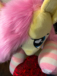 Size: 1350x1800 | Tagged: safe, artist:natureshy, imported from derpibooru, fluttershy, pegasus, pony, clothes, cute, gift giving, heart, heart eyes, hearts and hooves day, holiday, irl, photo, plushie, pony plushie, present, socks, solo, striped socks, valentine, valentine's day, wingding eyes