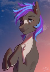 Size: 2480x3508 | Tagged: safe, artist:jaynsparkle, imported from derpibooru, oc, oc only, earth pony, pony, blaze (coat marking), chest fluff, coat markings, commission, ear piercing, earring, facial markings, jewelry, looking at you, piercing, smiling, smiling at you, solo, sunset