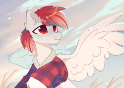Size: 2400x1700 | Tagged: safe, artist:mirtash, imported from derpibooru, oc, oc only, pegasus, pony, bust, clothes, commission, ear fluff, freckles, shirt, solo, spread wings, wings