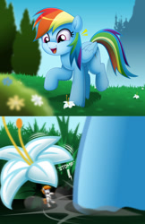 Size: 900x1389 | Tagged: safe, artist:jhayarr23, imported from derpibooru, rainbow dash, oc, oc:vanilla beam, earth pony, pegasus, pony, earthquake, female, flower, lily (flower), macro, male, mare, micro, size difference, smaller male, stallion, stomp