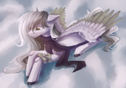 Size: 1024x718 | Tagged: safe, artist:charlieschiffer, artist:p i k i n a s 13, imported from derpibooru, oc, pegasus, pony, clothes, cloud, scarf, solo