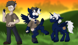 Size: 2069x1200 | Tagged: safe, artist:detectivecoon, imported from derpibooru, oc, alicorn, human, pony, human to pony, male, transformation, transformation sequence