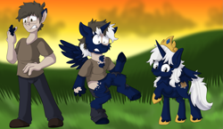 Size: 2069x1200 | Tagged: safe, artist:detectivecoon, imported from derpibooru, oc, alicorn, human, pony, female, human to pony, male, mare, transformation, transformation sequence, transgender transformation