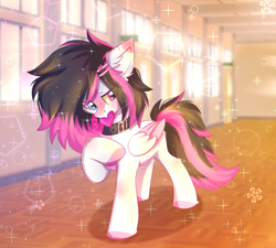 Size: 1500x1350 | Tagged: safe, artist:fluffywhirlpool, imported from derpibooru, oc, oc only, oc:lunylin, pegasus, pony, blurry background, collar, colored belly, colored wings, commission, cute, ear fluff, eye clipping through hair, eyebrows, eyebrows visible through hair, female, full body, hairclip, heart, hearts and hooves day, heterochromia, holiday, looking away, mare, mouth hold, multicolored hair, multicolored mane, multicolored tail, pegasus oc, raised hoof, school, shy, solo, tail, two toned mane, two toned tail, two toned wings, valentine, valentine's day, wings