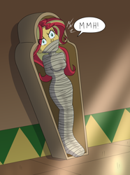 Size: 2976x4000 | Tagged: safe, artist:gregory-gid-did, imported from derpibooru, sunset shimmer, human, equestria girls, bondage, bound and gagged, cloth gag, commission, emanata, female, gag, kidnapped, muffled words, mummification, mummy, sarcophagus, solo