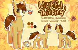 Size: 701x455 | Tagged: safe, artist:loviesophiee, imported from derpibooru, oc, oc:wishful thinking, earth pony, reference sheet