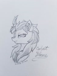 Size: 2837x3782 | Tagged: safe, artist:sodapop sprays, imported from derpibooru, oc, oc only, oc:cobalt flame, kirin, kirin oc, solo, traditional art