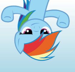 Size: 496x473 | Tagged: safe, alternate version, artist:awesomebrony, imported from derpibooru, rainbow dash, pegasus, pony, animated, australia, blue background, dancing, faic, female, gif, gradient background, looking at you, mare, moving, raised hooves, simple background, smug, smugdash, solo, upside down