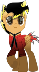 Size: 1935x3584 | Tagged: safe, artist:lincolnbrewsterfan, derpibooru exclusive, imported from derpibooru, oc, oc only, oc:14fan, pegasus, pony, my little pony: the movie, .svg available, birthday gift, blank flank, brown eyes, button-up shirt, clothes, colored eyebrows, colored pupils, cute, cute face, cute smile, eyebrows, folded wings, happy, happy birthday, hoof heart, inkscape, looking at you, male, movie accurate, necktie, no cutie marks yet, ocbetes, pegasus oc, pockets, raised hoof, red shirt, shirt, short sleeves, simple background, smiling, smiling at you, solo, stallion, standing, svg, tail, transparent background, two toned mane, two toned tail, underhoof, vector, wing sleeves, wings