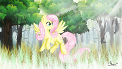 Size: 1920x1080 | Tagged: safe, artist:michealsymson, imported from derpibooru, fluttershy, pegasus, pony, crepuscular rays, female, forest, solo