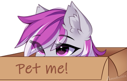 Size: 1283x823 | Tagged: safe, artist:airiniblock, imported from derpibooru, oc, oc only, oc:silver storm, pegasus, pony, behaving like a cat, box, ear fluff, eye, eye clipping through hair, eyebrows, eyebrows visible through hair, eyes, female, mare, pegasus oc, pony in a box, rcf community, signature, simple background, solo, two toned mane, white background