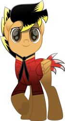 Size: 1935x3584 | Tagged: safe, artist:lincolnbrewsterfan, derpibooru exclusive, imported from derpibooru, oc, oc only, oc:14fan, pegasus, pony, my little pony: the movie, .svg available, birthday gift, blank flank, brown eyes, button-up shirt, clothes, colored eyebrows, cute, cute face, cute smile, eyebrows, folded wings, happy, happy birthday, hoof heart, inkscape, looking at you, male, movie accurate, necktie, no cutie marks yet, ocbetes, pegasus oc, pockets, raised hoof, red shirt, shirt, short sleeves, simple background, smiling, smiling at you, solo, stallion, standing, svg, tail, transparent background, two toned mane, two toned tail, underhoof, upside-down hoof heart, vector, wing sleeves, wings