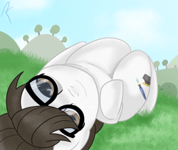 Size: 1280x1080 | Tagged: safe, artist:reinbou, imported from derpibooru, raven, earth pony, pony, glasses, grass, looking at you, solo