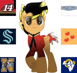 Size: 554x528 | Tagged: safe, imported from derpibooru, applejack, oc, oc only, oc:14fan, pegasus, american football, applejack's cutie mark, college, hockey, ice hockey, los angeles, los angeles rams, navy, nfl, nhl, profile picture, seattle, seattle kraken, simple background, solo, transparent background