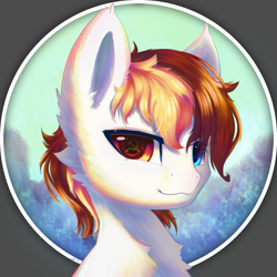 Size: 2000x2000 | Tagged: safe, artist:b_m, imported from derpibooru, oc, oc only, oc:白冥, pegasus, pony, bust, communism, male, multicolored eyes, solo