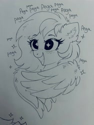 Size: 1536x2048 | Tagged: safe, artist:confetticakez, imported from derpibooru, oc, oc only, oc:naveen numbers, pegasus, pony, female, lineart, mare, pegasus oc, solo, sparkly eyes, traditional art, wingding eyes