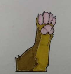 Size: 1080x1114 | Tagged: safe, artist:malina, imported from derpibooru, oc, oc only, oc:sagiri himoto, cat, catified, furry, paw pads, paws, solo, species swap, toe beans, traditional art, underpaw