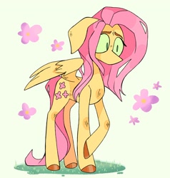 Size: 1952x2048 | Tagged: safe, artist:volchok, imported from derpibooru, fluttershy, pegasus, pony, female, floppy ears, mare, simple background, solo, white background