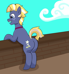 Size: 857x923 | Tagged: safe, artist:lotusflare, imported from derpibooru, star tracker, earth pony, pony, :d, airship, butt, cloud, freckles, happy, male, open mouth, open smile, plot, smiling, solo, stallion