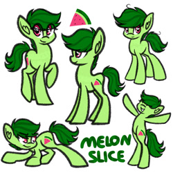 Size: 1024x1024 | Tagged: safe, artist:princessfaeron, imported from derpibooru, oc, oc only, oc:melon slice, earth pony, pony, male, simple background, solo, stallion, white background