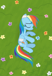 Size: 2605x3790 | Tagged: safe, alternate version, artist:gypsykumquat, imported from derpibooru, rainbow dash, pegasus, pony, .svg available, absurd resolution, alternate timeline, apocalypse, apocalypse dash, bandage, crystal war timeline, falling, female, flower, grass, grass field, injured, injured wing, lying down, mare, peaceful, show accurate, solo, vector, wings