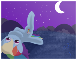 Size: 1380x1080 | Tagged: safe, artist:reinbou, imported from derpibooru, rainbow dash, pegasus, pony, moon, night, solo