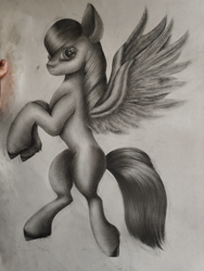 Size: 1600x2133 | Tagged: safe, artist:henry forewen, imported from derpibooru, pegasus, pony, concave belly, monochrome, sketch, solo