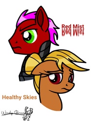 Size: 768x1024 | Tagged: safe, artist:windy breeze, imported from derpibooru, oc, oc:healthy skies, oc:red mist, pegasus, pony, fallout equestria, fallout equestria: sweet child of mine, armor, brown coat, bust, duo, enclave, enclave armor, explicit source, fanfic art, female, floppy ears, grand pegasus enclave, green eyes, male, mare, power armor, red coat, red eyes, simple background, stallion, white background, wingless, yellow mane