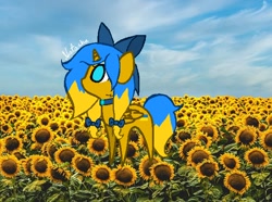 Size: 620x462 | Tagged: safe, artist:natashaukrayina, imported from derpibooru, oc, oc:ukraine, pony, unicorn, flower, nation ponies, ponified, solo, sunflower, ukraine