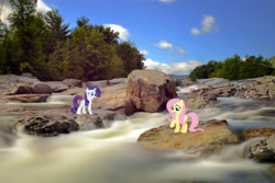 Size: 2048x1366 | Tagged: safe, artist:mlplover94, artist:myardius, artist:xpesifeindx, imported from derpibooru, fluttershy, rarity, pegasus, pony, unicorn, female, irl, mare, new york, photo, ponies in real life, raised hoof, river, rock, water