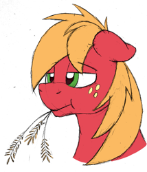 Size: 1477x1723 | Tagged: safe, artist:sefastpone, imported from derpibooru, big macintosh, earth pony, pony, bust, chewing, colored sketch, eating, freckles, herbivore, male, simple background, solo, stallion, straw in mouth, white background