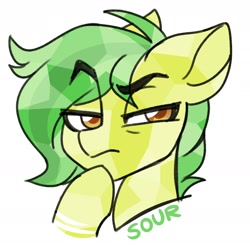 Size: 1734x1734 | Tagged: safe, artist:sickly-sour, imported from derpibooru, oc, oc only, crystal pony, pony, bust, eyebrows, eyebrows visible through hair, portrait, simple background, solo, suspicious, white background