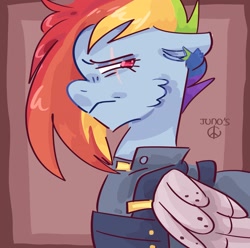 Size: 2048x2033 | Tagged: safe, artist:dmitrymemovznok, imported from derpibooru, rainbow dash, pegasus, pony, alternate timeline, clothes, frown, solo