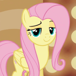 Size: 970x966 | Tagged: safe, imported from derpibooru, screencap, fluttershy, pegasus, pony, season 6, viva las pegasus, animated, cropped, cute, eyebrows, eyelashes, female, folded wings, happy, las pegasus scrunchyshy, looking at you, mare, no sound, reaction image, scrunchy face, shyabetes, smiling, smugshy, solo, weapons-grade cute, webm, wings