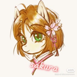 Size: 1280x1280 | Tagged: safe, artist:eternal197, imported from derpibooru, earth pony, pony, bust, cardcaptor sakura, flower, flower in hair, ponified, portrait, sakura kinomoto, solo