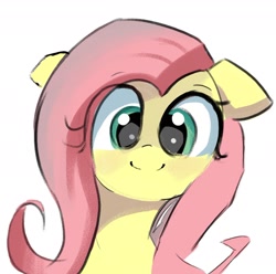 Size: 1802x1787 | Tagged: safe, artist:solid shrimp, imported from derpibooru, fluttershy, pegasus, pony, bust, cute, eye clipping through hair, female, floppy ears, looking at you, mare, portrait, shyabetes, simple background, smiling, smiling at you, solo, white background