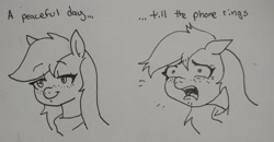 Size: 2048x1062 | Tagged: safe, artist:pony quarantine, imported from derpibooru, earth pony, pony, 2 panel comic, comic, female, freckles, grayscale, mare, monochrome, open mouth, solo, text, traditional art