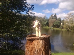 Size: 4032x3024 | Tagged: safe, artist:kuba18i, imported from derpibooru, fluttershy, pegasus, pony, irl, lake, outdoors, photo, plushie, poland, ponies in real life, pony plushie, sosnowiec, tree, tree stump, water