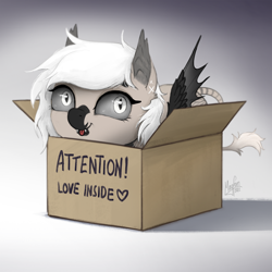 Size: 1300x1300 | Tagged: safe, artist:magfen, imported from derpibooru, oc, oc:devilvoice, bat pony, pony, :p, bat pony oc, box, coat markings, facial markings, leonine tail, pony in a box, snip (coat marking), solo, tail, tongue out