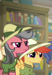 Size: 501x720 | Tagged: safe, imported from derpibooru, screencap, candid snap, compass course, viewfinder (character), earth pony, pony, daring doubt, book, bookshelf, daring do costume, female, hat, mare, unnamed character, unnamed pony