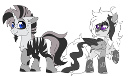 Size: 6800x4088 | Tagged: safe, artist:crazysketch101, imported from derpibooru, oc, oc only, oc:astro, oc:brielle, pegasus, pony, unicorn, zebra, zebracorn, base used, chest fluff, duo, facial hair, freckles, goatee, simple background, transparent background