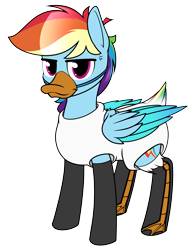Size: 3200x4100 | Tagged: safe, artist:dacaoo, imported from derpibooru, rainbow dash, bird, duck, pegasus, pony, clothes, costume, cross-popping veins, emanata, mask, rainbow dash is not amused, rainbow duck, simple background, socks, solo, stockings, thigh highs, transparent background, unamused