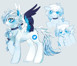 Size: 3500x3000 | Tagged: safe, artist:kefirro7, imported from derpibooru, pegasus, pony, admiration, cheek fluff, chest fluff, collar, concave belly, ear fluff, floppy ears, hairband, looking away, male, open mouth, ponified, raised hoof, simple background, slim, solo, spread wings, stallion, tail, tail feathers, thin, twitter, wing fluff, wings