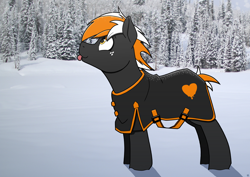 Size: 3508x2480 | Tagged: safe, artist:sefastpone, imported from derpibooru, oc, oc only, oc:se, earth pony, pony, clothes, forest, freckles, jacket, male, real life background, snow, solo, stallion, tongue out, winter