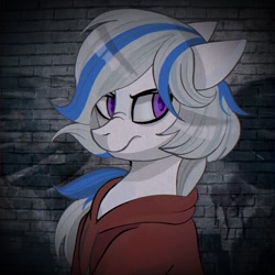 Size: 1920x1920 | Tagged: artist needed, dead source, safe, imported from derpibooru, oc, oc only, oc:yvonne.k waverhoof, earth pony, clothes, female, hoodie, mare