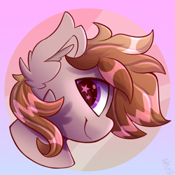 Size: 2500x2500 | Tagged: safe, artist:starcasteclipse, imported from derpibooru, oc, oc only, earth pony, pony, starry eyes, wingding eyes